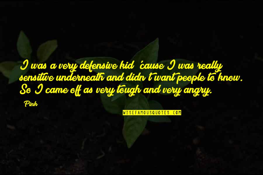 Defensive Quotes By Pink: I was a very defensive kid 'cause I Defensive Quotes By Pink: I was a very defensive kid 'cause I