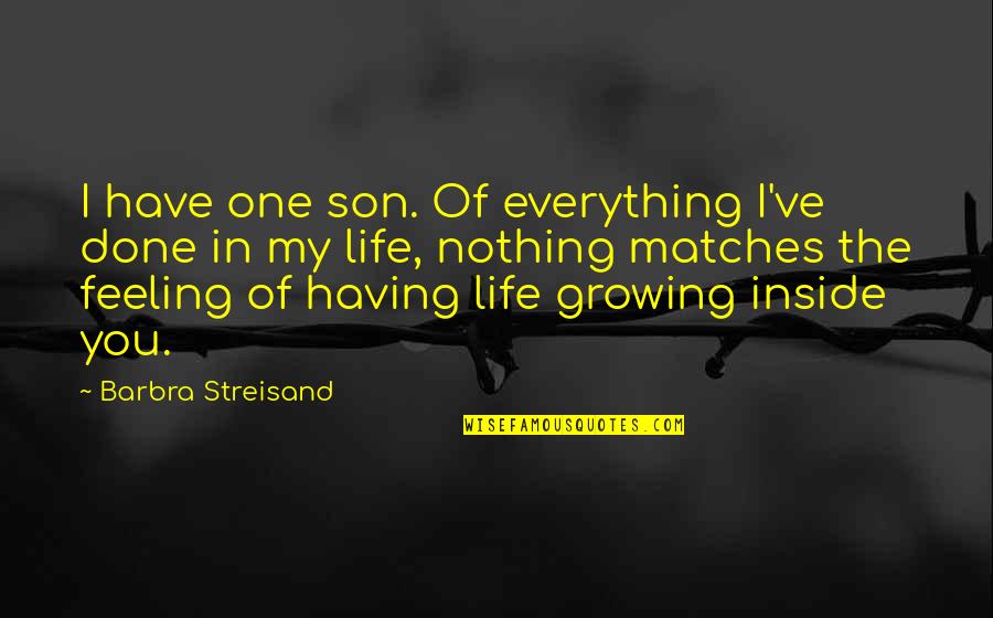 Defervescence Rash Quotes By Barbra Streisand: I have one son. Of everything I've done