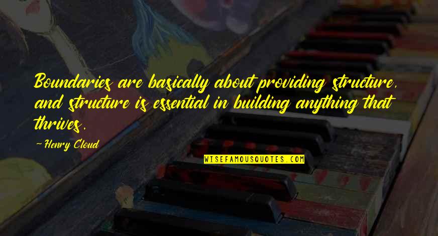 Definately Quotes By Henry Cloud: Boundaries are basically about providing structure, and structure