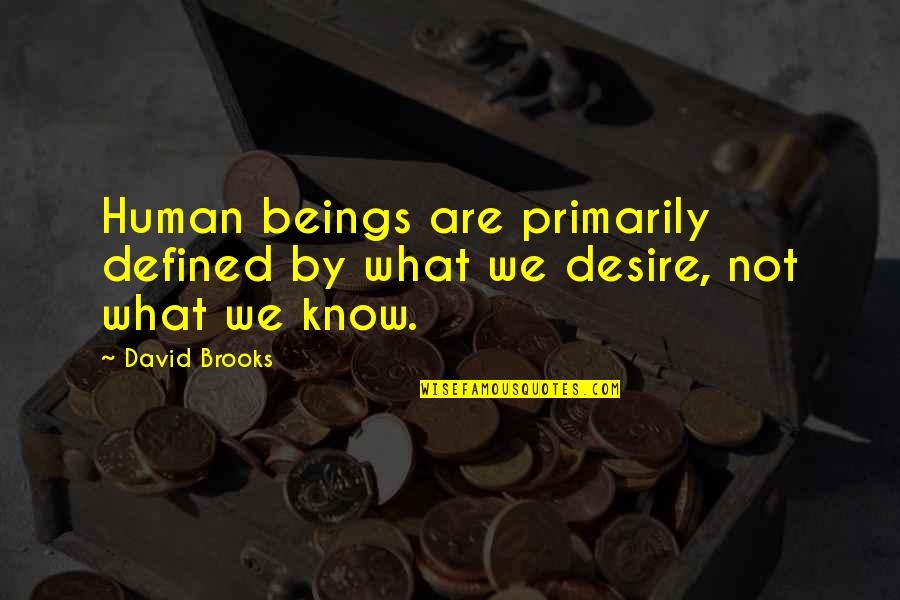 Defined By Quotes By David Brooks: Human beings are primarily defined by what we