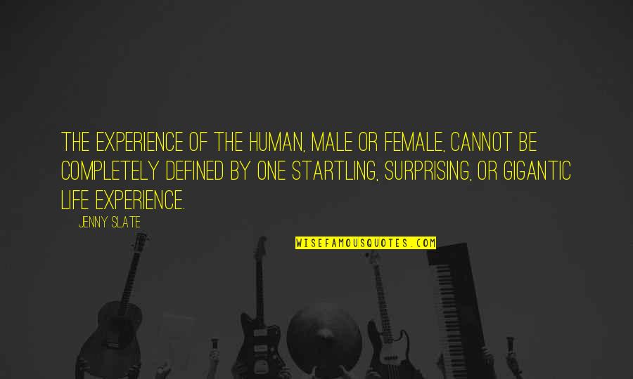 Defined By Quotes By Jenny Slate: The experience of the human, male or female,