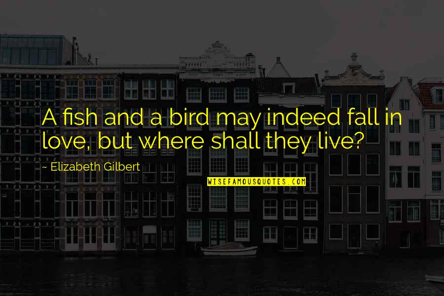 Definitional Dispute Quotes By Elizabeth Gilbert: A fish and a bird may indeed fall