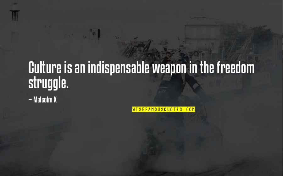 Defrancescos In Shelby Quotes By Malcolm X: Culture is an indispensable weapon in the freedom