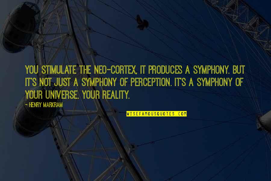 Defrays Manufactured Quotes By Henry Markram: You stimulate the neo-cortex, it produces a symphony.