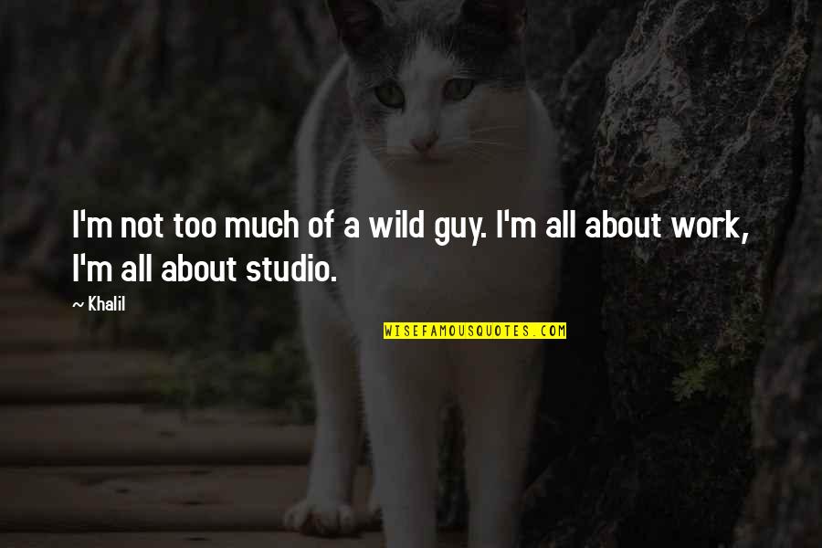 Defrennes Quotes By Khalil: I'm not too much of a wild guy.