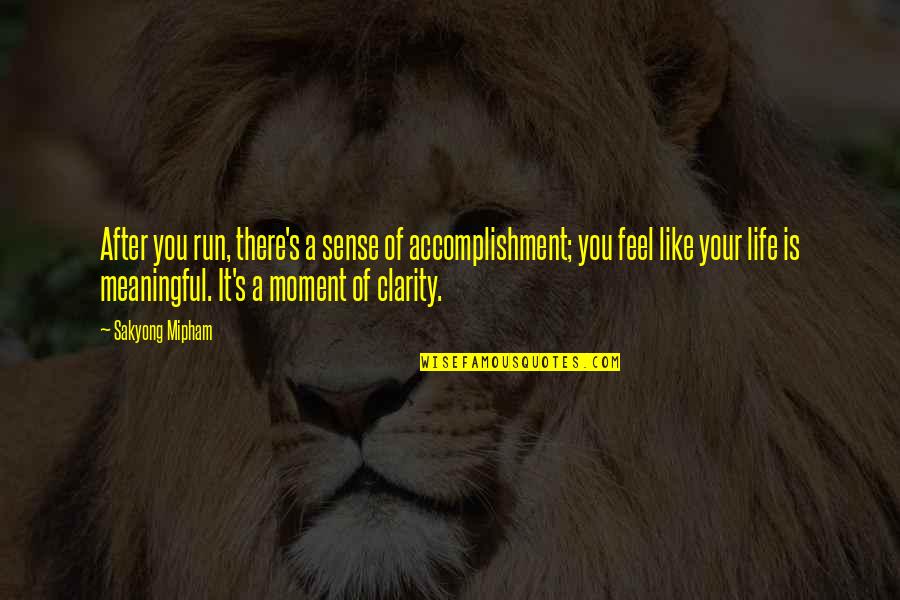 Defrennes Quotes By Sakyong Mipham: After you run, there's a sense of accomplishment;