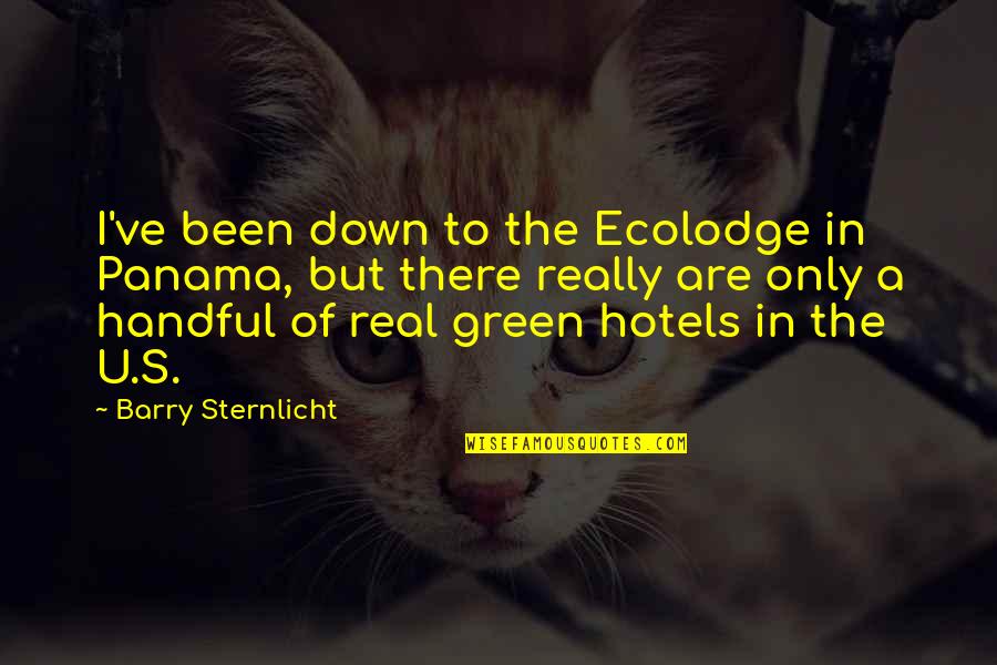 Defusing A Situation Quotes By Barry Sternlicht: I've been down to the Ecolodge in Panama,