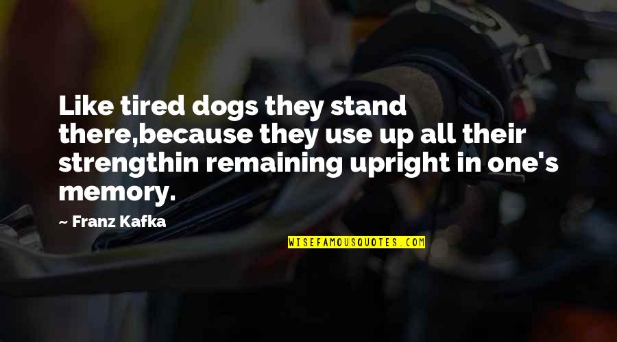 Defy Age Quotes By Franz Kafka: Like tired dogs they stand there,because they use Defy Age Quotes By Franz Kafka: Like tired dogs they stand there,because they use