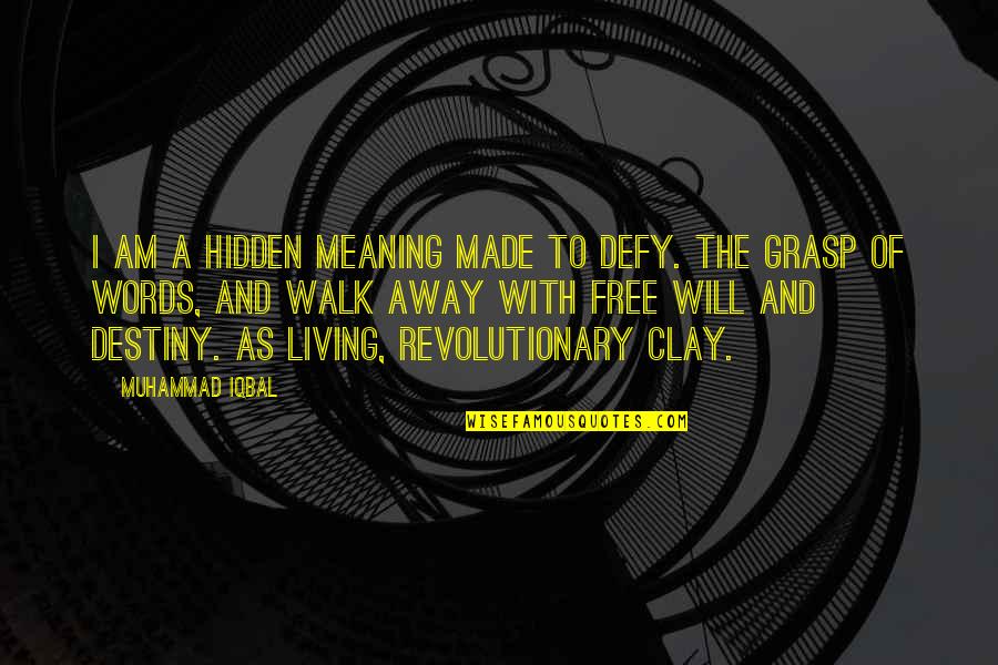 Defy Destiny Quotes By Muhammad Iqbal: I am a hidden meaning made to defy.