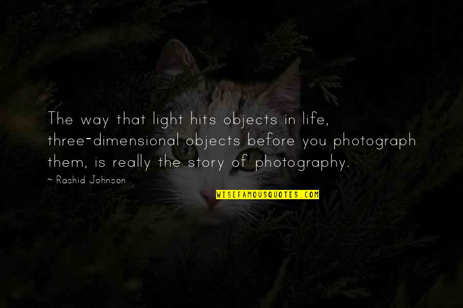Degraba Quotes By Rashid Johnson: The way that light hits objects in life,
