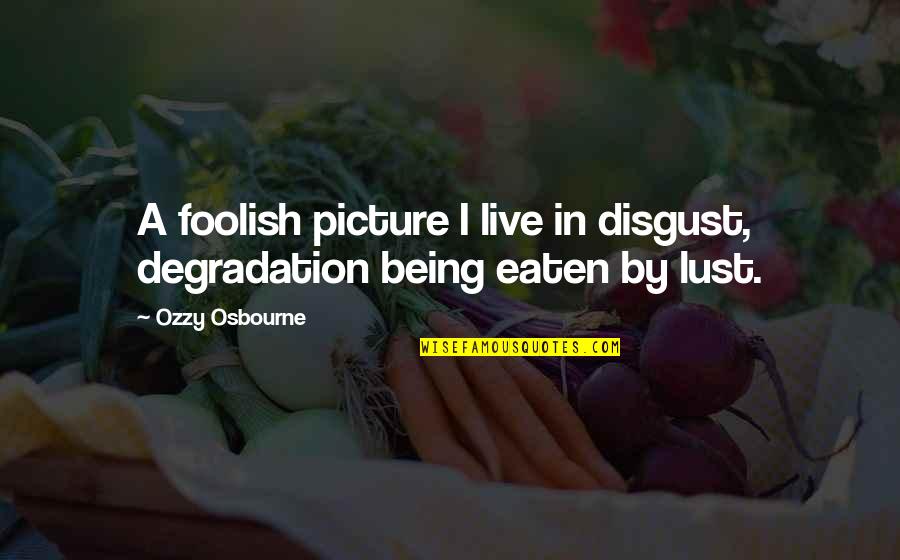 Degradation Quotes By Ozzy Osbourne: A foolish picture I live in disgust, degradation
