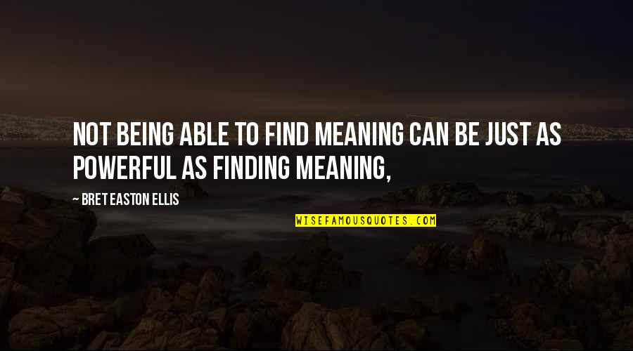 Degregorio Michele Quotes By Bret Easton Ellis: Not being able to find meaning can be Degregorio Michele Quotes By Bret Easton Ellis: Not being able to find meaning can be