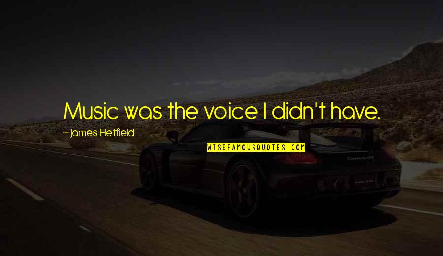Degroodt Rd Quotes By James Hetfield: Music was the voice I didn't have.