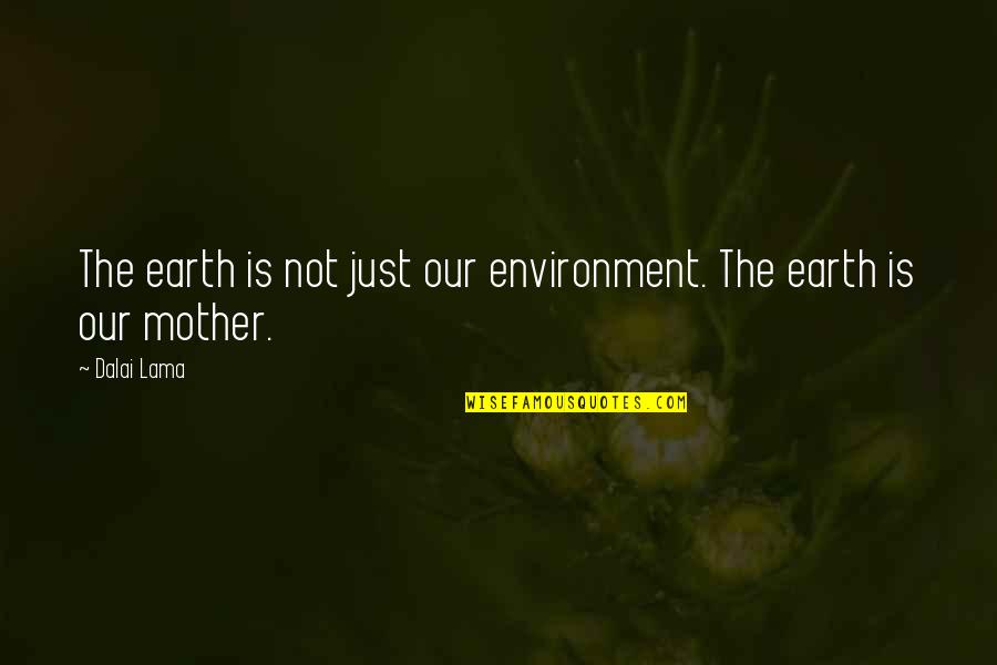 Degroote Quotes By Dalai Lama: The earth is not just our environment. The