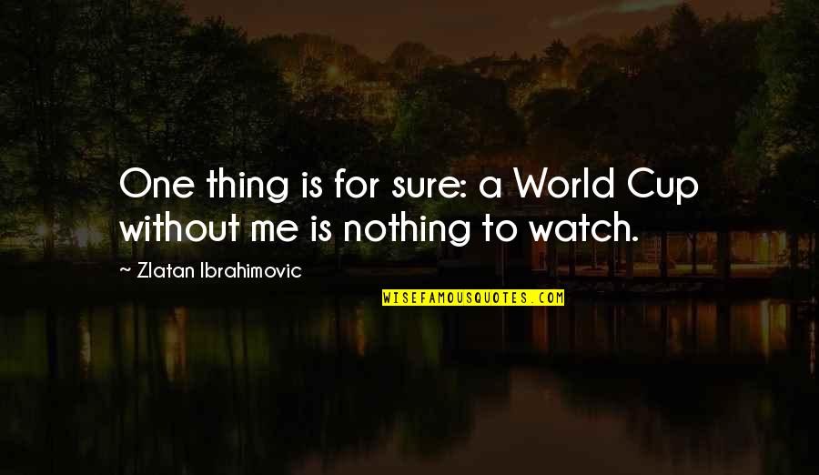 Deieny Quotes By Zlatan Ibrahimovic: One thing is for sure: a World Cup Deieny Quotes By Zlatan Ibrahimovic: One thing is for sure: a World Cup