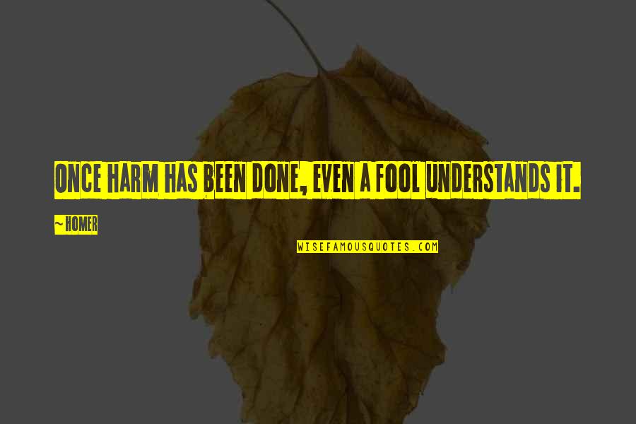 Deimie Quotes By Homer: Once harm has been done, even a fool