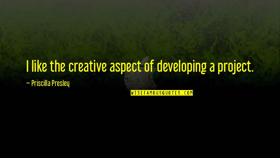 Deixarmos Quotes By Priscilla Presley: I like the creative aspect of developing a Deixarmos Quotes By Priscilla Presley: I like the creative aspect of developing a