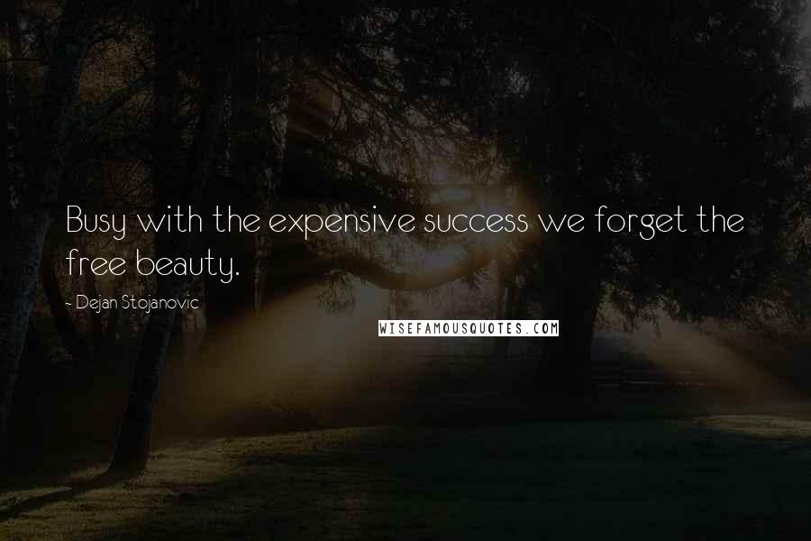 Dejan Stojanovic quotes: Busy with the expensive success we forget the free beauty.