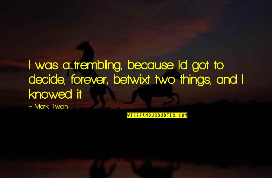 Dejaras De Amarme Quotes By Mark Twain: I was a-trembling, because I'd got to decide, Dejaras De Amarme Quotes By Mark Twain: I was a-trembling, because I'd got to decide,
