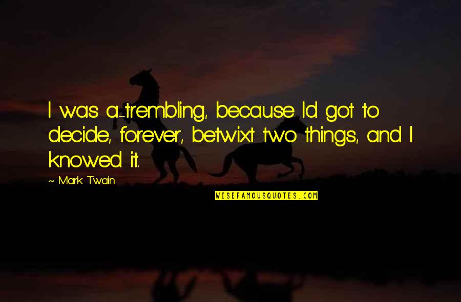 Dejaras De Amarme Quotes By Mark Twain: I was a-trembling, because I'd got to decide,