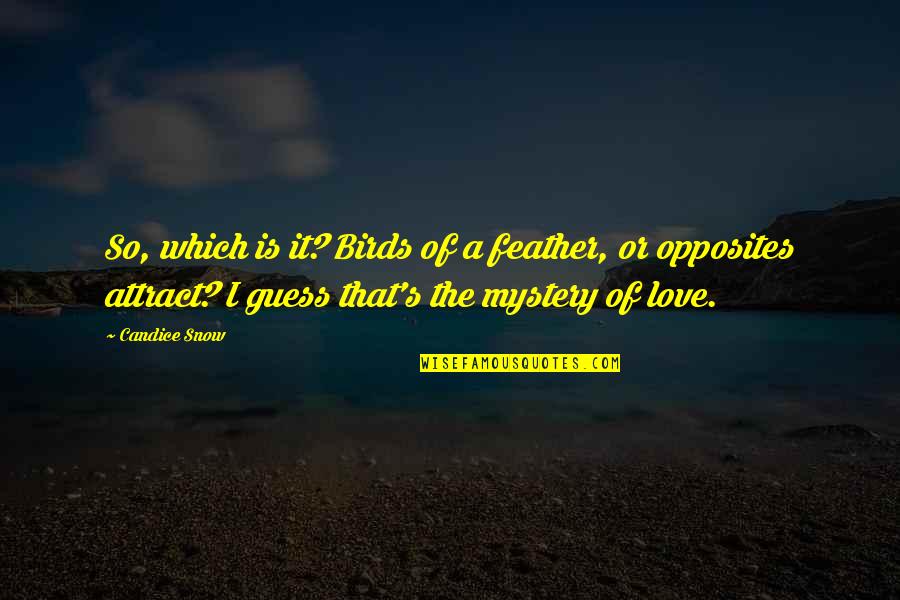 Dejare Esto Quotes By Candice Snow: So, which is it? Birds of a feather, Dejare Esto Quotes By Candice Snow: So, which is it? Birds of a feather,