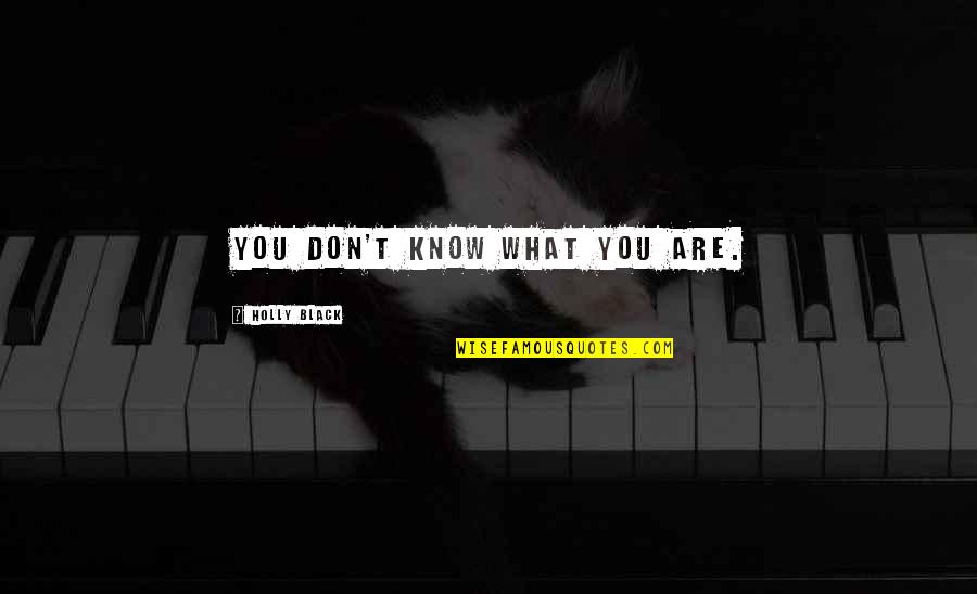 Dejarles Quotes By Holly Black: You don't know what you are. Dejarles Quotes By Holly Black: You don't know what you are.