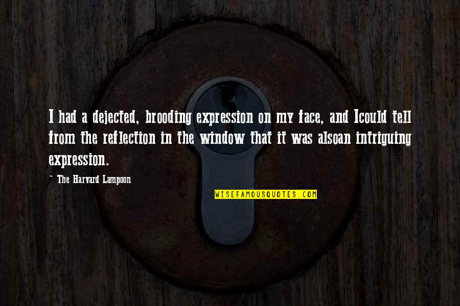 Dejected Quotes By The Harvard Lampoon: I had a dejected, brooding expression on my