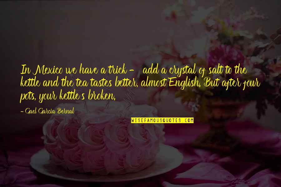 Dekh Bhai Behan Quotes By Gael Garcia Bernal: In Mexico we have a trick - add
