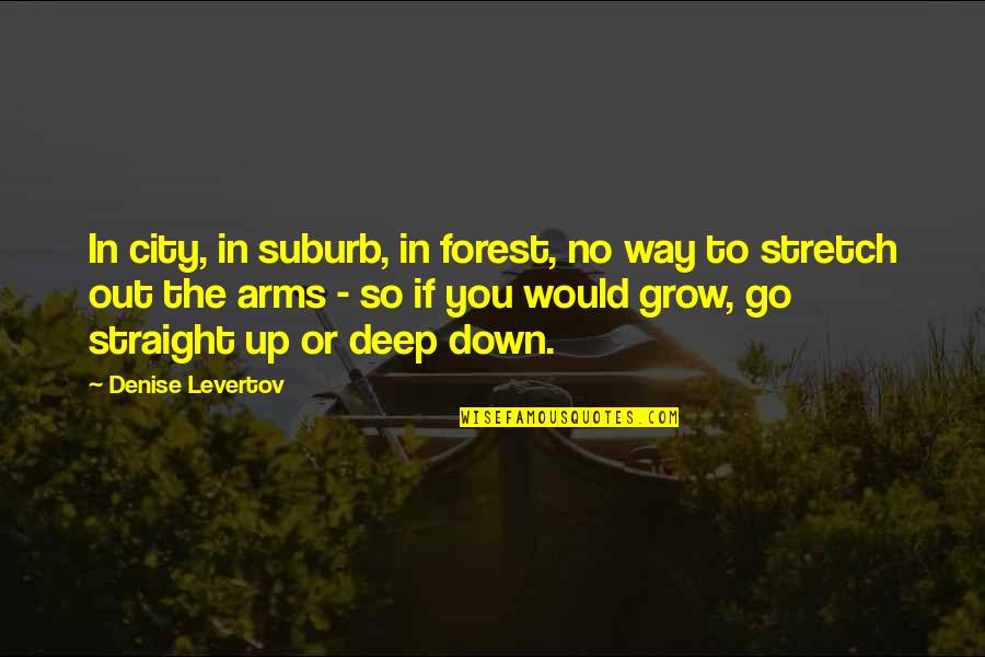 Del Preston Quotes By Denise Levertov: In city, in suburb, in forest, no way