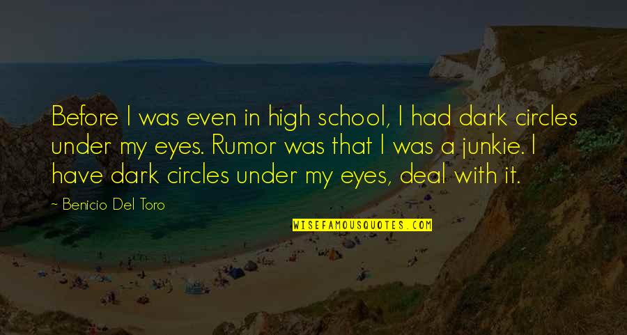 Del Quotes By Benicio Del Toro: Before I was even in high school, I