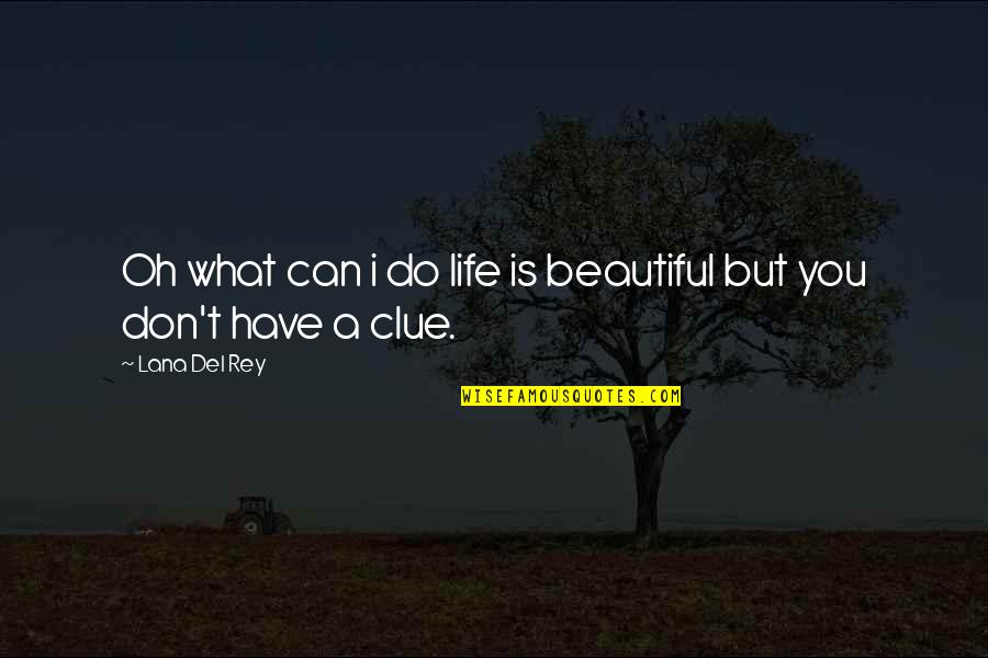 Del Rey Quotes By Lana Del Rey: Oh what can i do life is beautiful