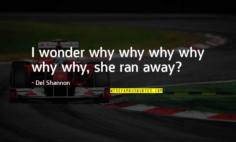 Del Shannon Quotes By Del Shannon: I wonder why why why why why why,