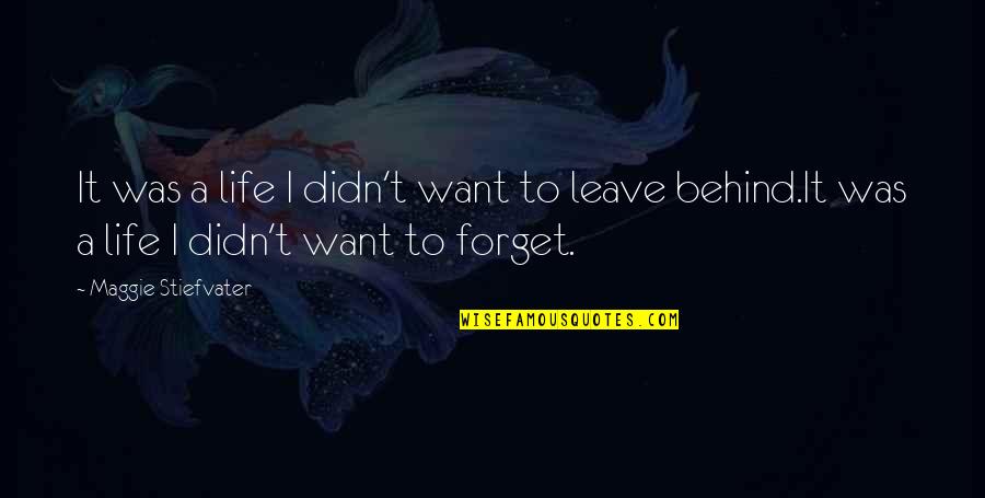 Delallo Recipes Quotes By Maggie Stiefvater: It was a life I didn't want to Delallo Recipes Quotes By Maggie Stiefvater: It was a life I didn't want to