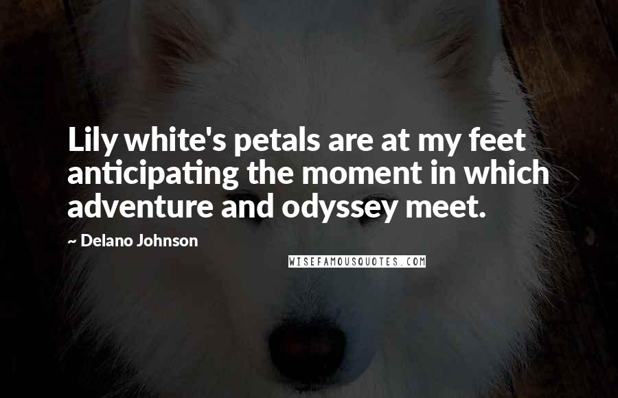 Delano Johnson quotes: Lily white's petals are at my feet anticipating the moment in which adventure and odyssey meet.