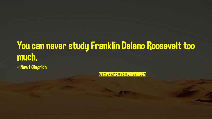 Delano Roosevelt Quotes By Newt Gingrich: You can never study Franklin Delano Roosevelt too