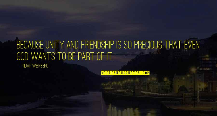 Delaunois Ghlin Quotes By Noah Weinberg: Because unity and friendship is so precious that