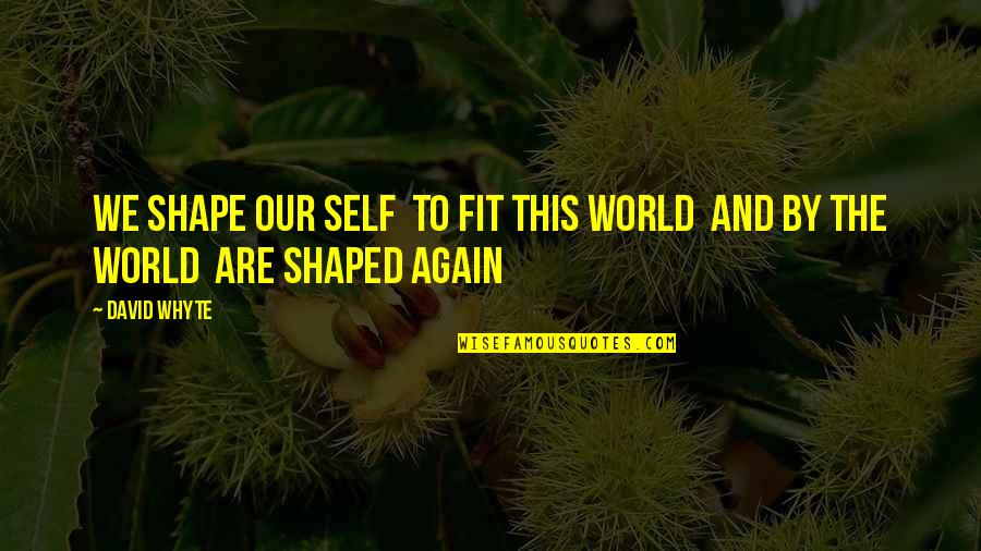 Delbard Quotes By David Whyte: We shape our self to fit this world