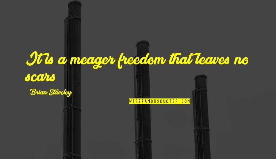 Deleon Quotes By Brian Staveley: It is a meager freedom that leaves no