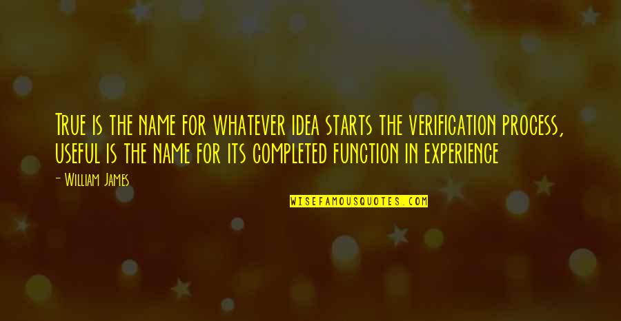 Delerme Jose Quotes By William James: True is the name for whatever idea starts Delerme Jose Quotes By William James: True is the name for whatever idea starts