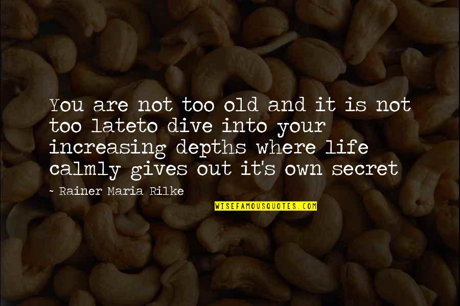 Delessio Farms Quotes By Rainer Maria Rilke: You are not too old and it is Delessio Farms Quotes By Rainer Maria Rilke: You are not too old and it is