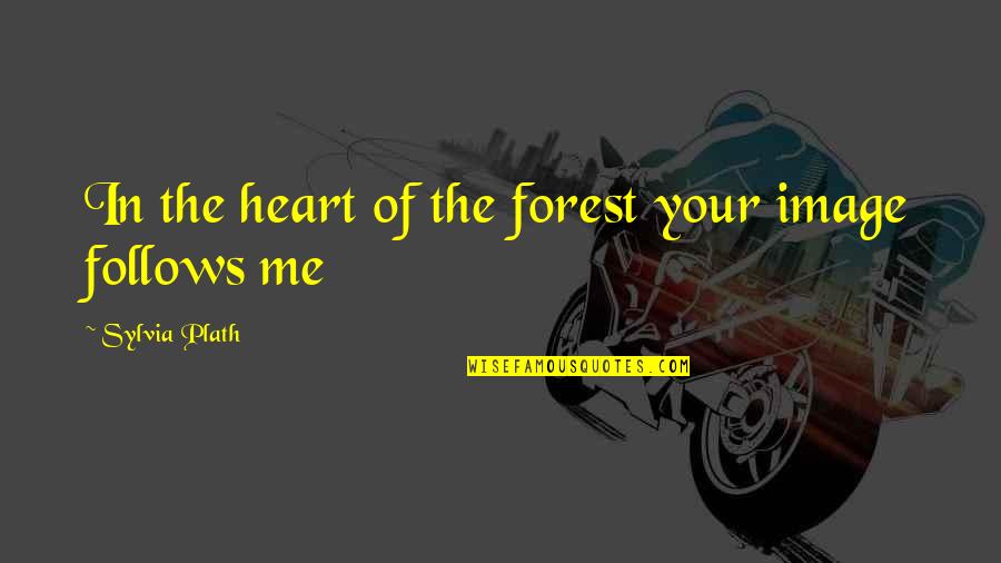 Delete Button In Life Quotes By Sylvia Plath: In the heart of the forest your image