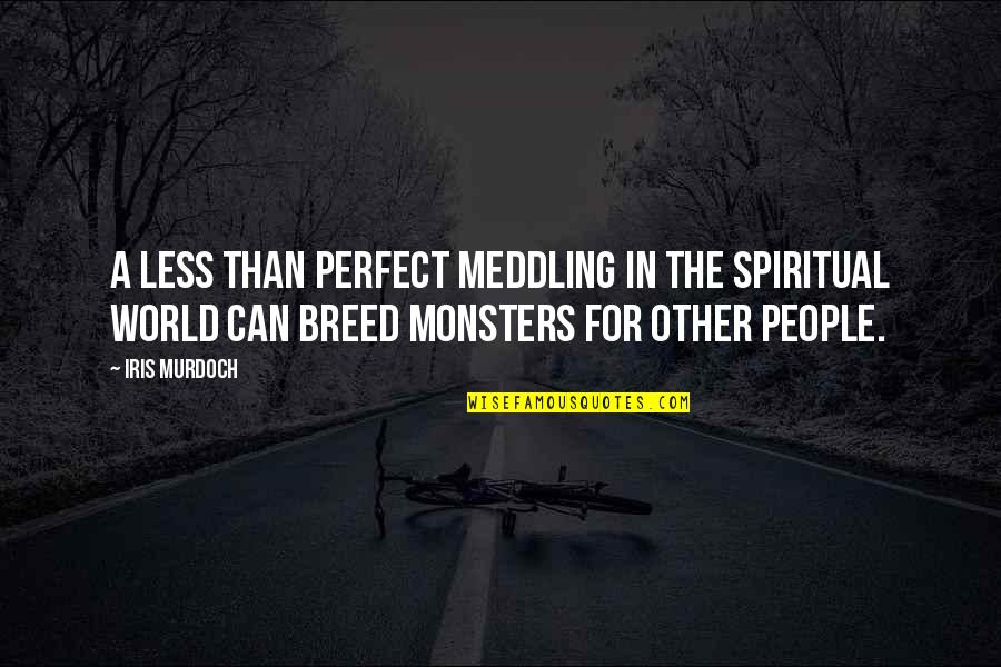 Delfinek Quotes By Iris Murdoch: A less than perfect meddling in the spiritual Delfinek Quotes By Iris Murdoch: A less than perfect meddling in the spiritual
