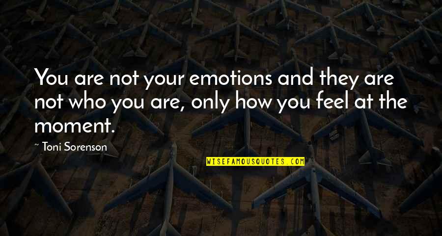 Delguerico Trash Quotes By Toni Sorenson: You are not your emotions and they are