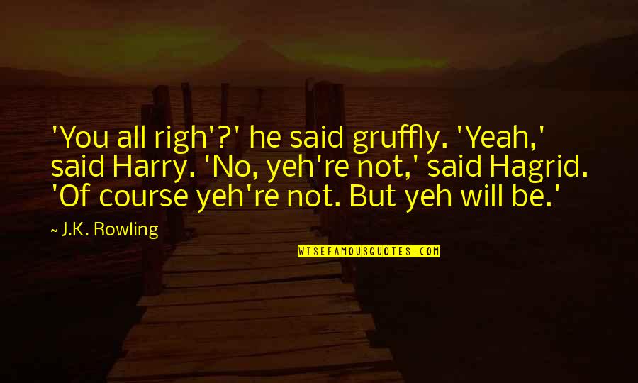 Delhi Crime Quotes By J.K. Rowling: 'You all righ'?' he said gruffly. 'Yeah,' said Delhi Crime Quotes By J.K. Rowling: 'You all righ'?' he said gruffly. 'Yeah,' said