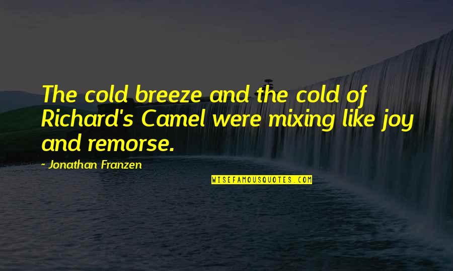 Deliberate Creation Quotes By Jonathan Franzen: The cold breeze and the cold of Richard's