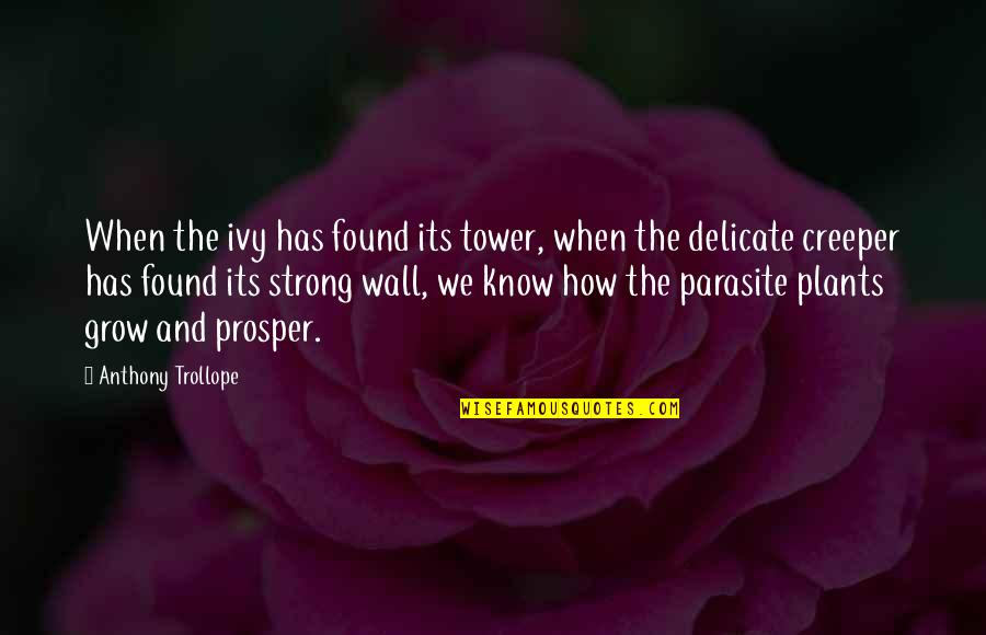 Delicate But Strong Quotes By Anthony Trollope: When the ivy has found its tower, when