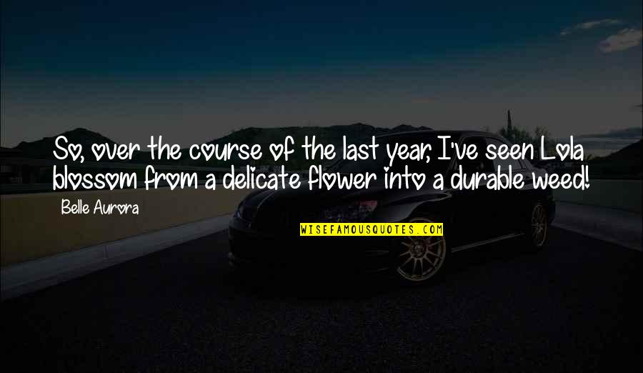Delicate Flower Quotes By Belle Aurora: So, over the course of the last year, Delicate Flower Quotes By Belle Aurora: So, over the course of the last year,