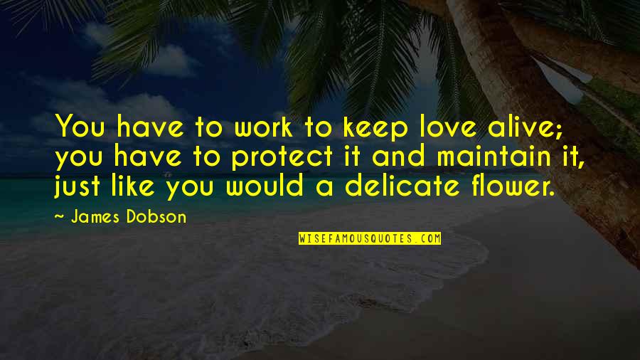 Delicate Flower Quotes By James Dobson: You have to work to keep love alive; Delicate Flower Quotes By James Dobson: You have to work to keep love alive;
