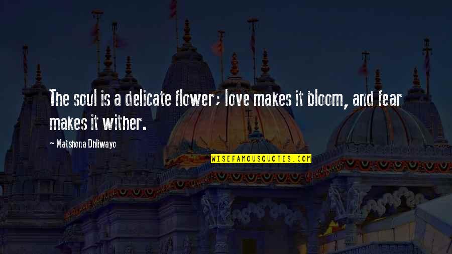 Delicate Love Quotes By Matshona Dhliwayo: The soul is a delicate flower; love makes