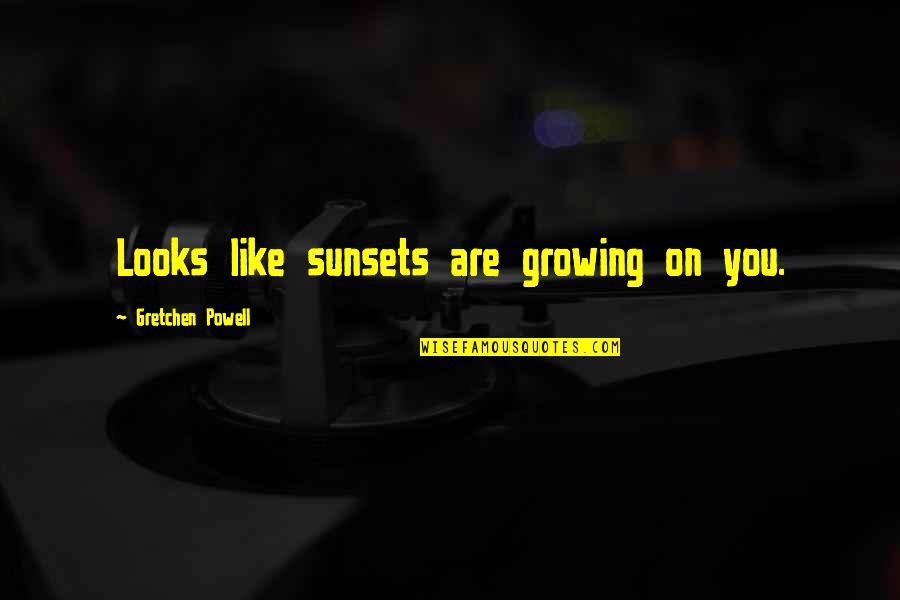 Delicate Person Quotes By Gretchen Powell: Looks like sunsets are growing on you.